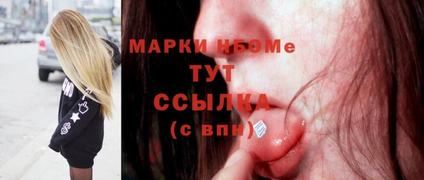 шишки Осинники