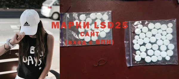 гашик Осташков