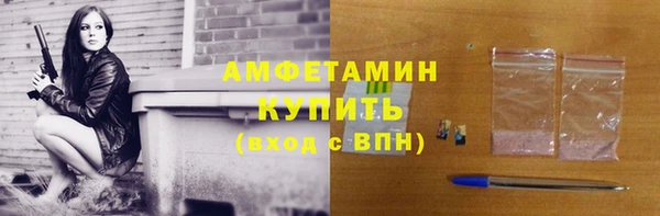 шишки Осинники