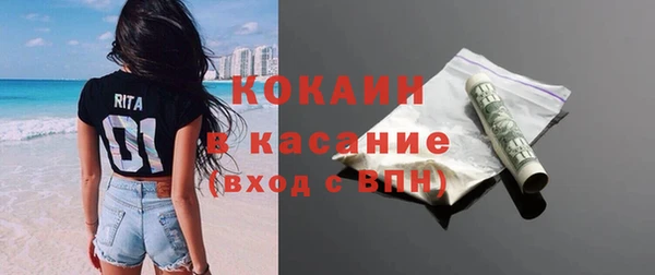 шишки Осинники