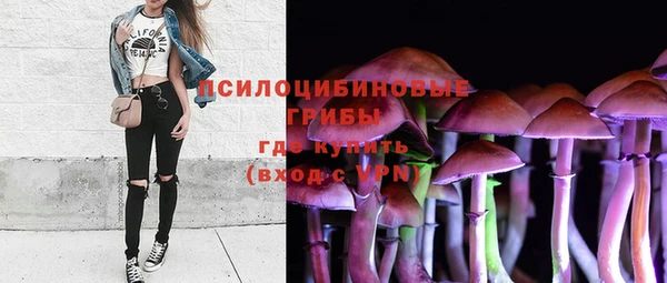 шишки Осинники